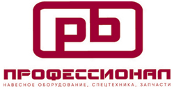 Лого Профессионал2
